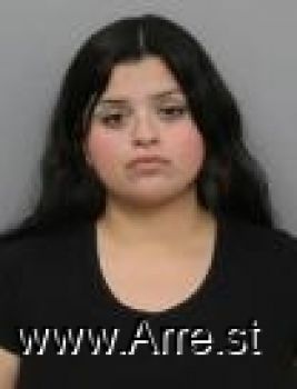 Vanessa  Ibarra Mugshot