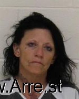 Vickie Lynn Johnson Mugshot