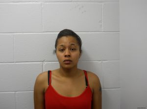 Alyssa Johnson Arrest Mugshot