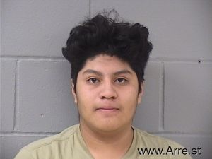 Alexander Abelino Ramirez Arrest Mugshot