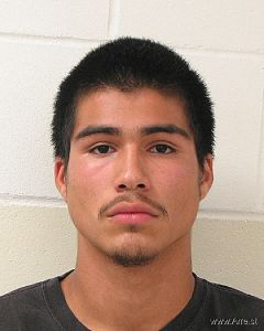 Amado Garza Arrest Mugshot