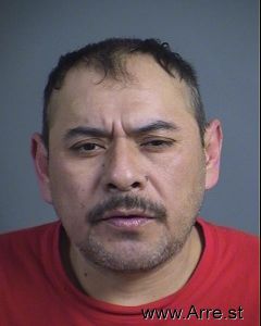 Armando Pacheco Arrest Mugshot