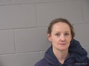 Ashley Halsey Arrest Mugshot