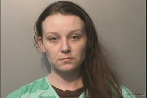 Brittany Robertson Arrest