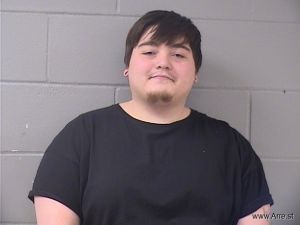 Colton Lagerquist Arrest Mugshot