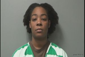 Erica Webster Arrest