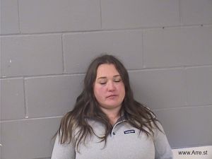 Elizabeth Larson Arrest Mugshot