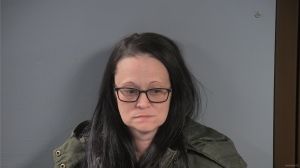 Heather Zaehringer Arrest Mugshot