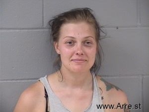 Heidi Hemmes Arrest Mugshot