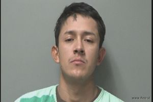 Lebin Diaz Martinez Arrest