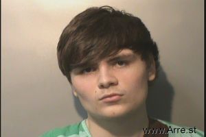 Logan Elmquist Arrest Mugshot