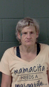 Lisa Stevenson Arrest Mugshot