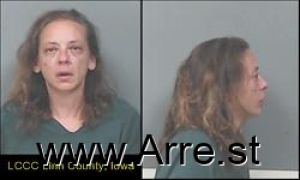 Michelle Simmermaker Arrest Mugshot