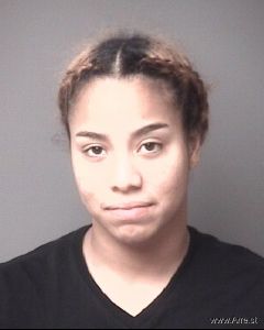 Natasha Bolkema Arrest Mugshot