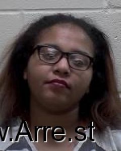 Nicole Perkins Arrest Mugshot