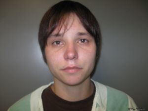 Rebecca Kraft Arrest