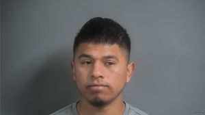 Remigio Efrain Arrest Mugshot