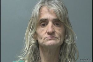 Sedija Ibradzic Arrest Mugshot