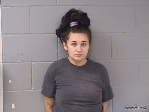 Teagan Damm Arrest Mugshot