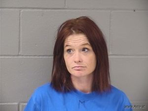 Theresa Stearns Arrest Mugshot