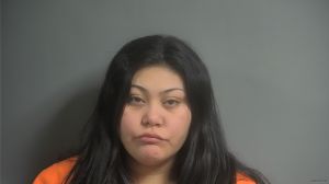 Tiffany Olguin Arrest Mugshot