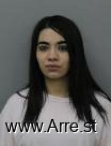 Wendy Villanueva-montenegro Arrest Mugshot