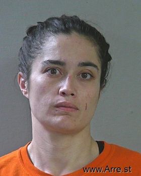 Amanda Denise Collins Mugshot