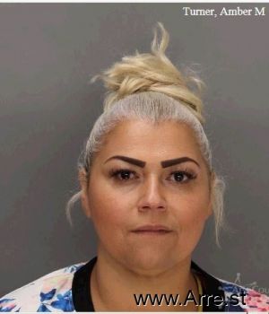 Amber M Turner Mugshot