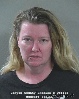 Andrea Lee Mickelsen Mugshot