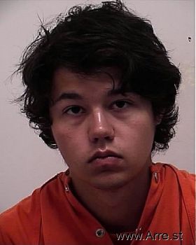 Andrew Darrick Tanaka Mugshot