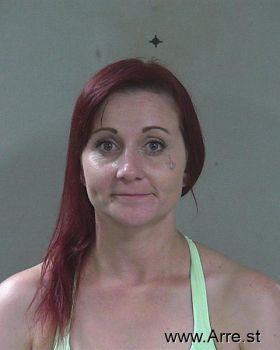 Ariel Denae Seavey Mugshot