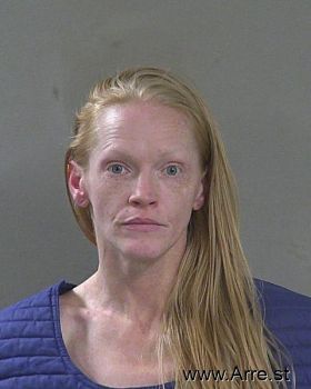 Brandy Ann Johnson-hulse Mugshot