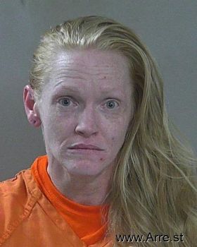 Brandy Ann Johnson-hulse Mugshot