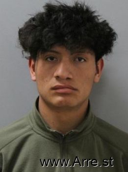 Brayan  Ortiz-fernandez Mugshot