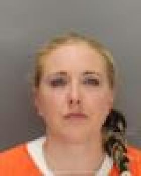 Brianne Nicole Davidson Mugshot