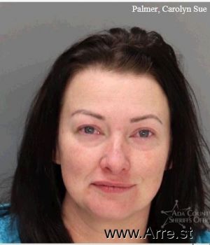 Carolyn Sue Palmer Mugshot