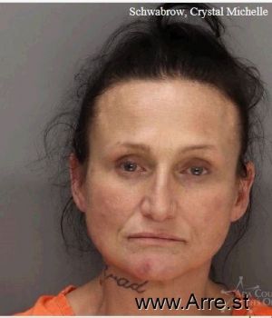 Crystal Michelle Schwabrow Mugshot