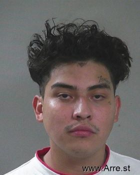 David Arriaga Estrada Mugshot