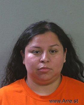 Diana Laura Lopez Torrez Mugshot