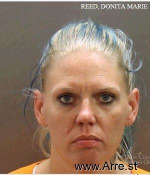 Donita Marie Reed Mugshot