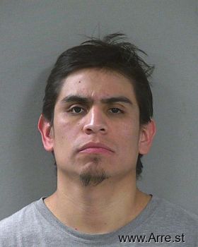 Fernando Lamas Flores Mugshot