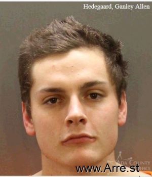 Ganley Allen Hedegaard Mugshot