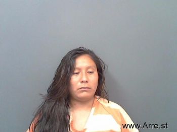 Irene  Diaz-gomez Mugshot