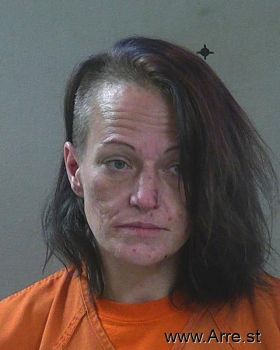 Janice June Johnson Mugshot