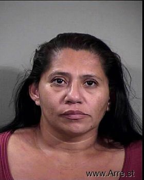 Jessica Olivas Gonzalez Mugshot