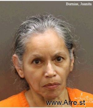 Juanita  Burnias Mugshot