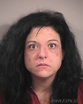 Karen  Turner Mugshot