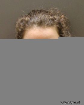 Kristine Elyse Ward Mugshot