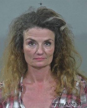 Lori Ann Higginbottom Mugshot