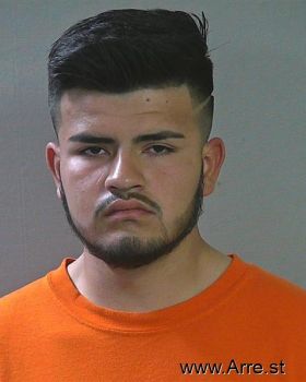 Luis Gerardo Lozano Rivera Mugshot